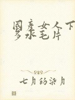 国产女人下面毛多水毛片