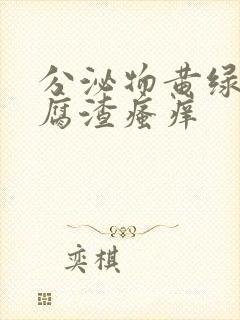 分泌物黄绿色豆腐渣瘙痒