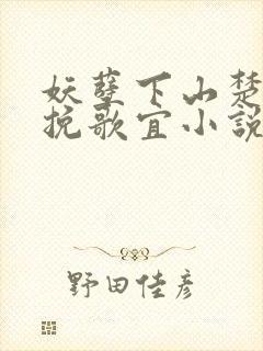 妖孽下山楚凡林挽歌宜小说