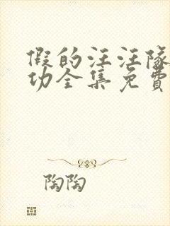 假的汪汪队立大功全集免费