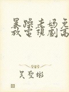 暴躁老妈免费播放电视剧高清