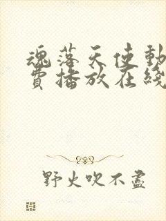 魂落天使动漫免费播放在线观看封面