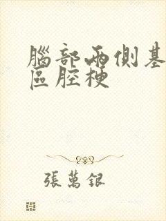 脑部两侧基底节区腔梗封面