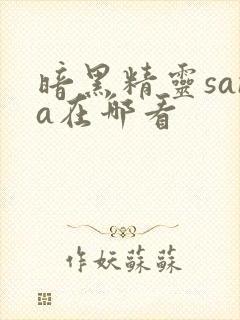 暗黑精灵sana在哪看