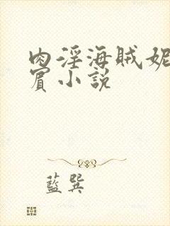 肉淫海贼妮可罗宾小说封面