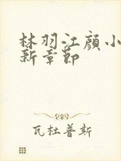 林羽江颜小说最新章节