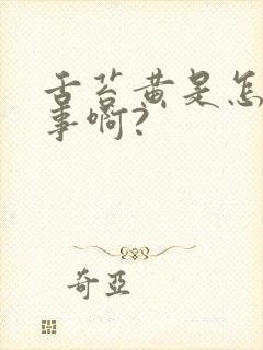 舌苔黄是怎么回事啊?