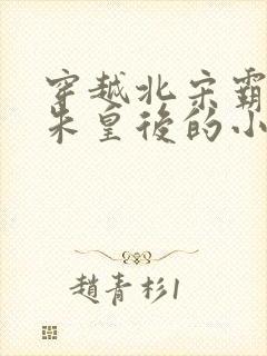 穿越北宋霸占了朱皇后的小说