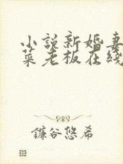 小说新婚妻子与菜老板在线阅读小说