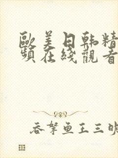 欧美日韩精美视频在线观看