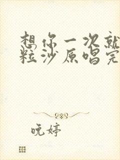 想你一次就落一粒沙原唱完整版歌词