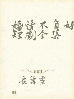 婚情不负好春光短剧全集封面