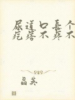 尿道口长个小肉疙瘩不疼不痒