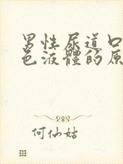 男性尿道口流白色液体的原因