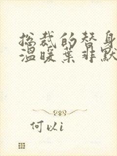 总裁的替身前妻温暖叶非默