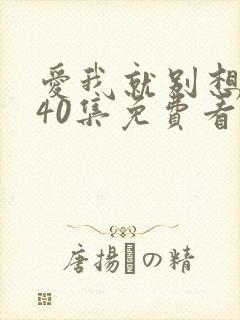 爱我就别想太多40集免费看