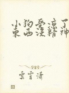 小狗受凉了不吃东西没精神怎么办封面