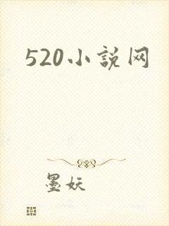 520小说网