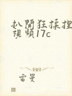 扒开狂揉捏喷水视频17c