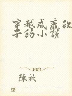 穿越成嬴政的儿子的小说