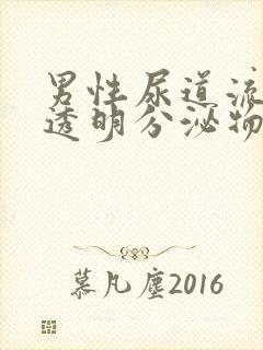 男性尿道流出来透明分泌物怎么回事封面