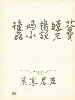 后妈杨晓芬与王磊小说免费阅读