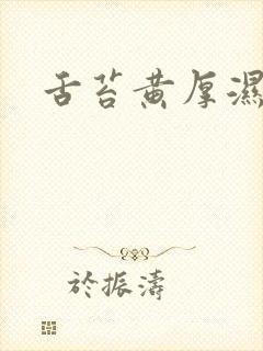 舌苔黄厚湿气重