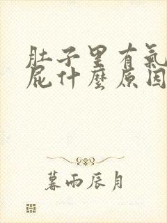 肚子里有气老放屁什么原因