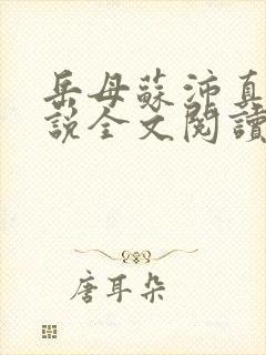 岳母苏沛真的小说全文阅读封面