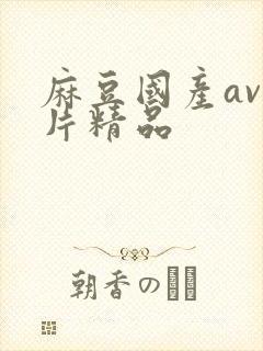 麻豆国产av国片精品