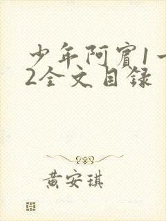 少年阿宾1一72全文目录