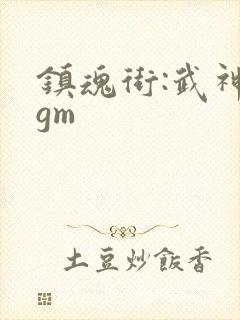 镇魂街:武神躯gm