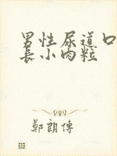 男性尿道口内侧长小肉粒