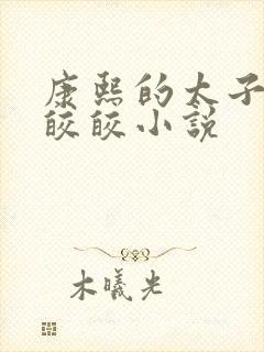 康熙的太子妃沈皎皎小说