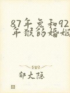 87年兔和92年猴的婚姻怎么样