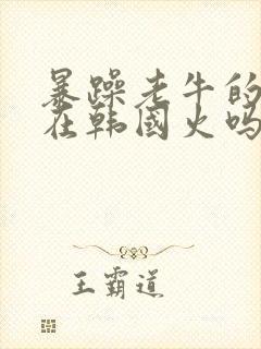 暴躁老牛的少女在韩国火吗