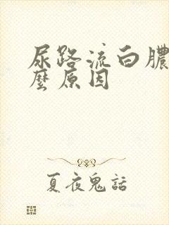 尿路流白脓是什么原因