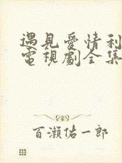 遇见爱情利先生电视剧全集免费