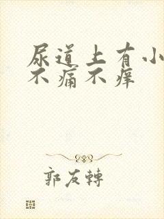 尿道上有小水泡不痛不痒