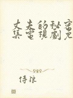 丈夫的秘密28集电视剧免费观看