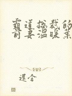 霸道总裁的替身前妻温暖叶非墨