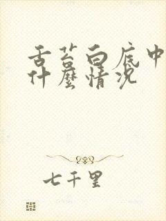 舌苔白底中间黄什么情况