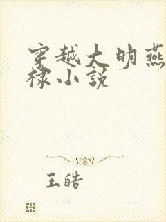 穿越大明燕王朱棣小说封面