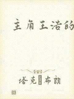 主角王浩的小说封面