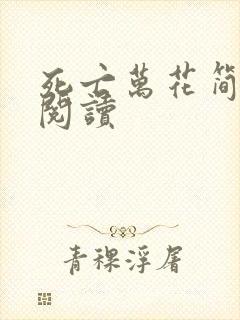 死亡万花简小说阅读封面