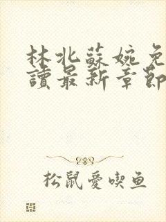 林北苏婉免费阅读最新章节