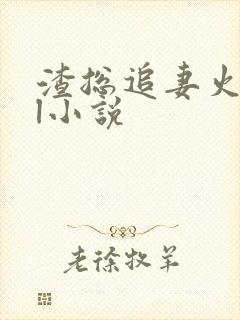 渣总追妻火葬场l小说