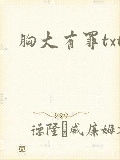 胸大有罪txt