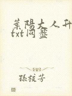 叶阳大人升职记txt网盘