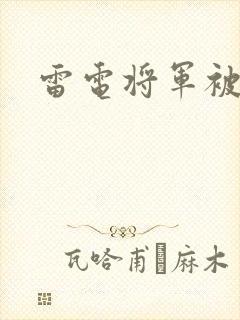 雷电将军被俘